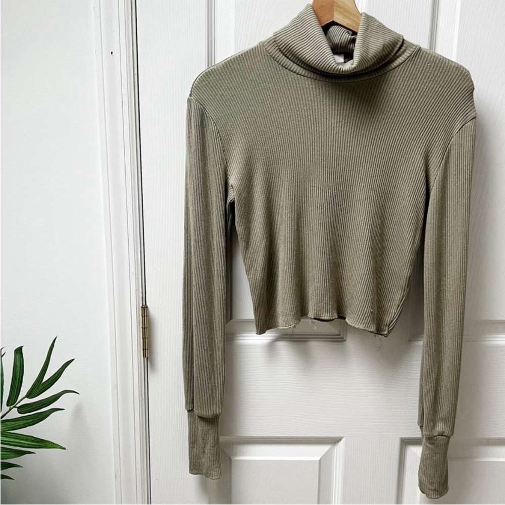 Aritzia Wilfred Free Ribbed Long Sleeve Turtleneck in Green